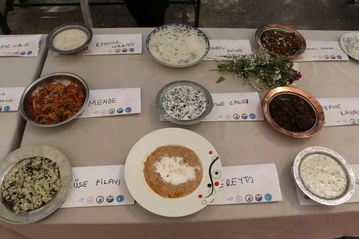 Hakkari\'de Yöresel Ot Festivali Başladı