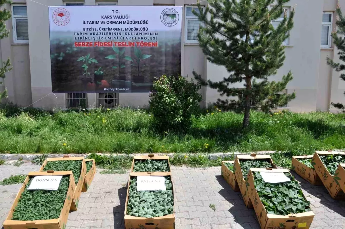 Kars\'ta Üreticilere Fide Dağıtımı