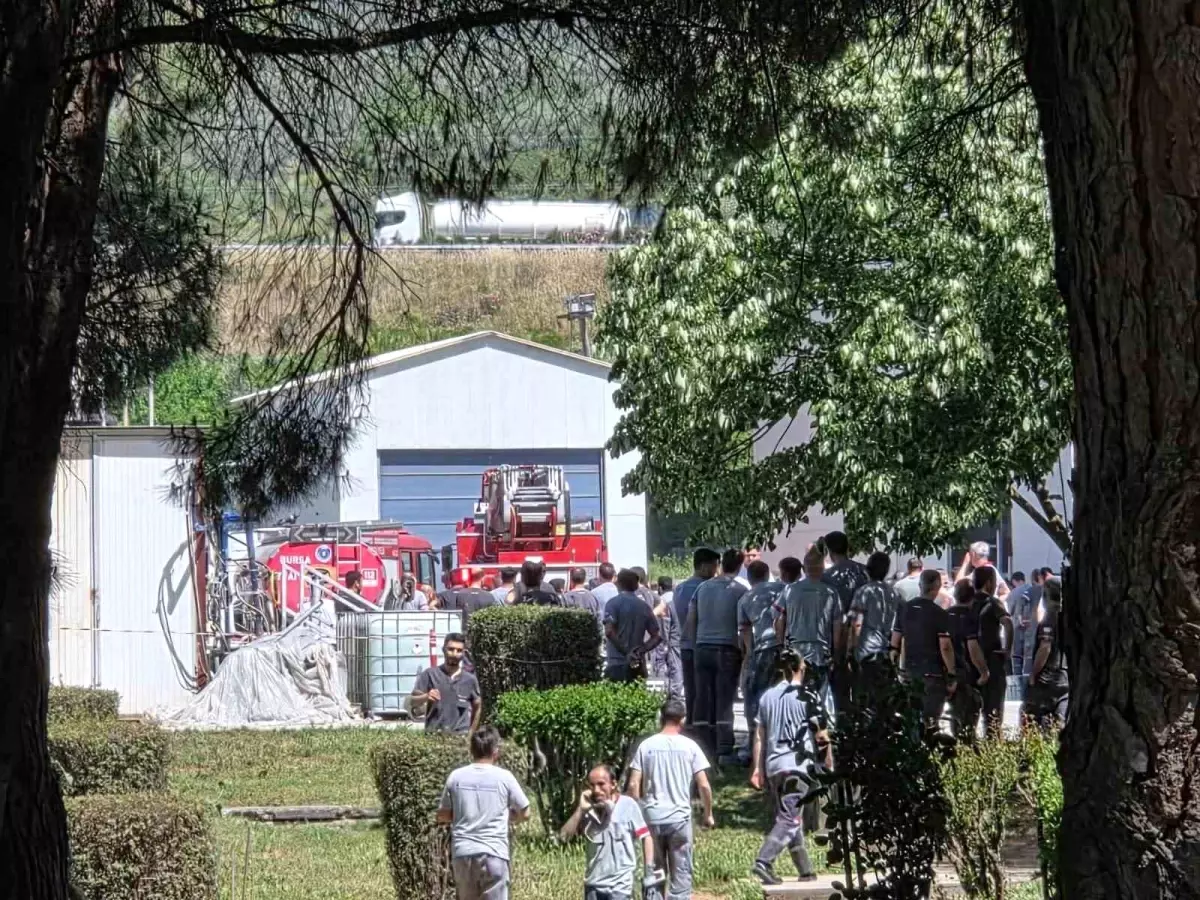 Bursa\'da Yat Fabrikasında Kimyasal Depoda Yangın