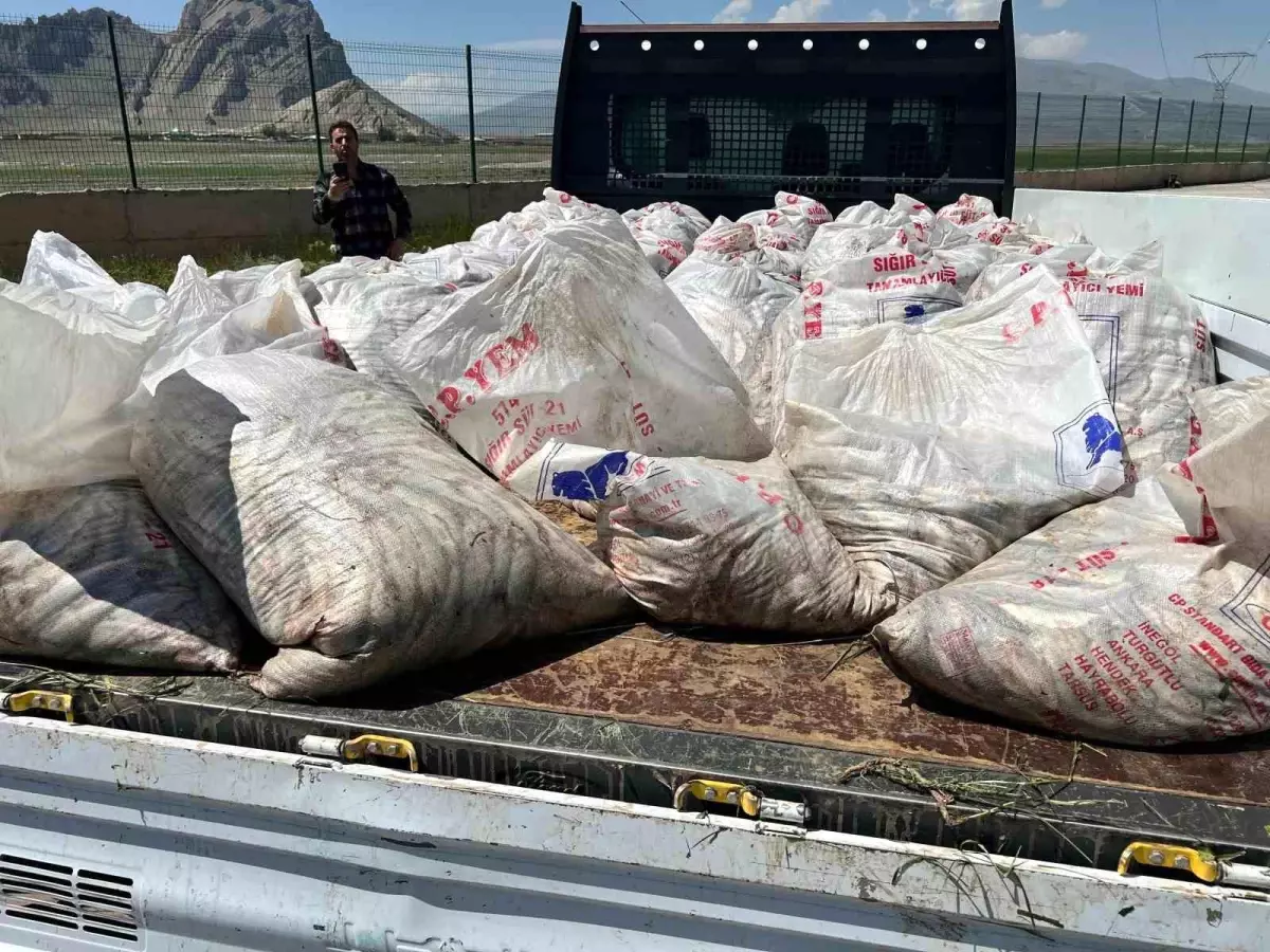 Ağrı\'da 2 Ton Kaçak İncik Kefali Ele Geçirildi