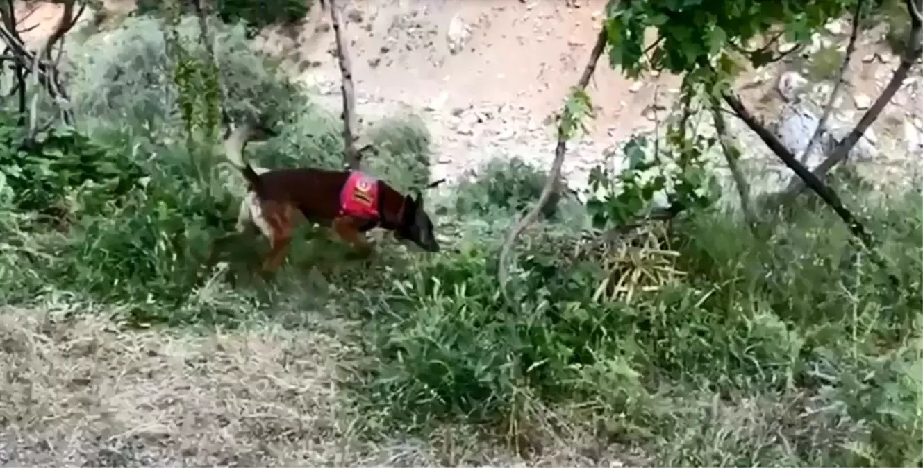 Bitlis\'te 18 Kilo Esrar Ele Geçirildi