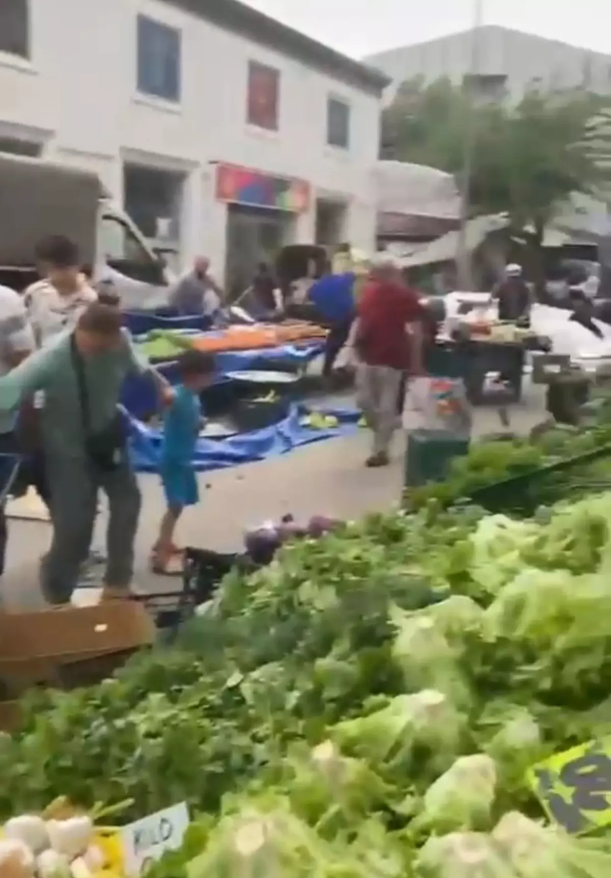 Bursa\'da Lodos Hayatı Olumsuz Etkiledi