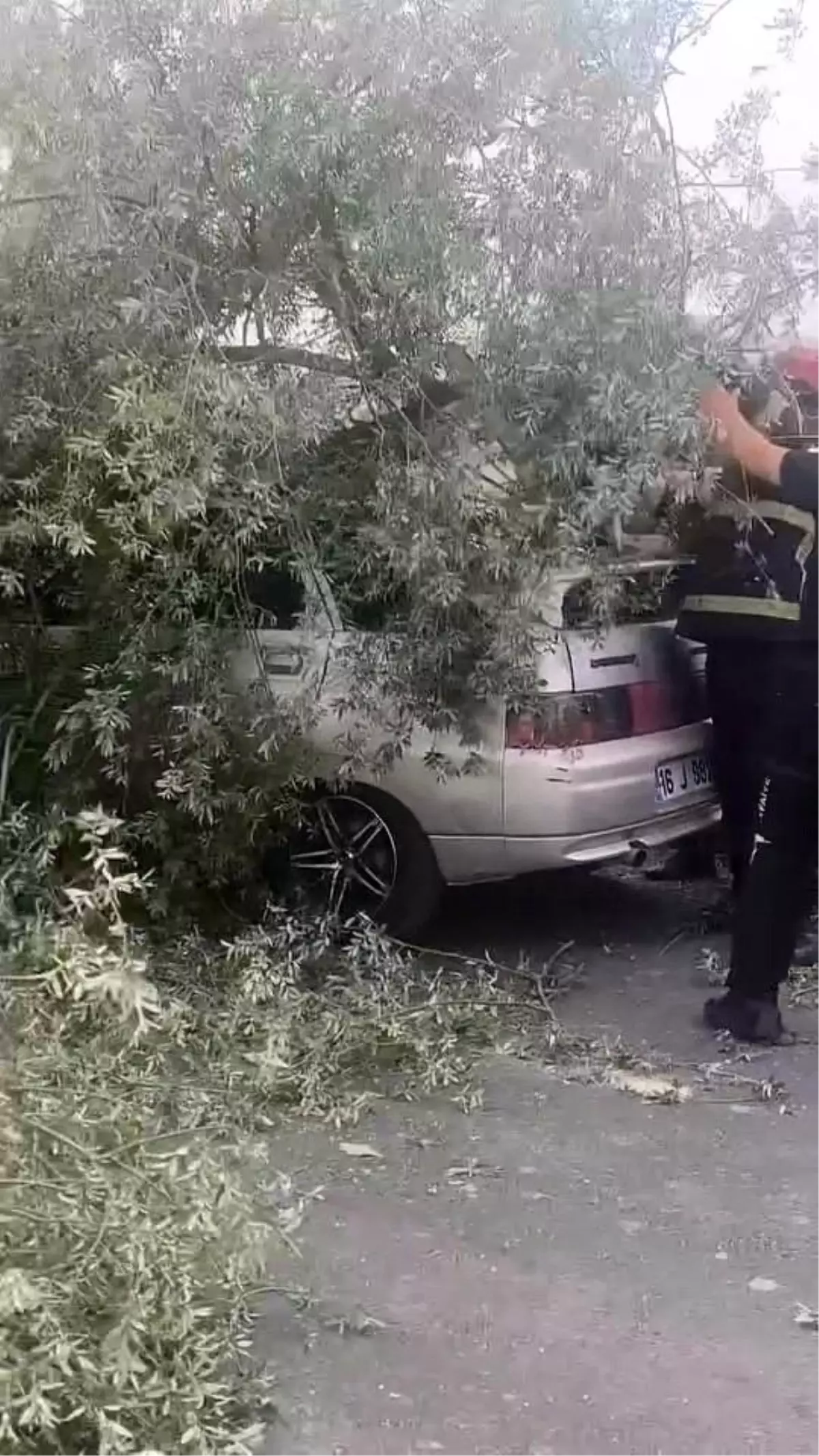 Lodos Ağaç Söküp Araca Devrildi