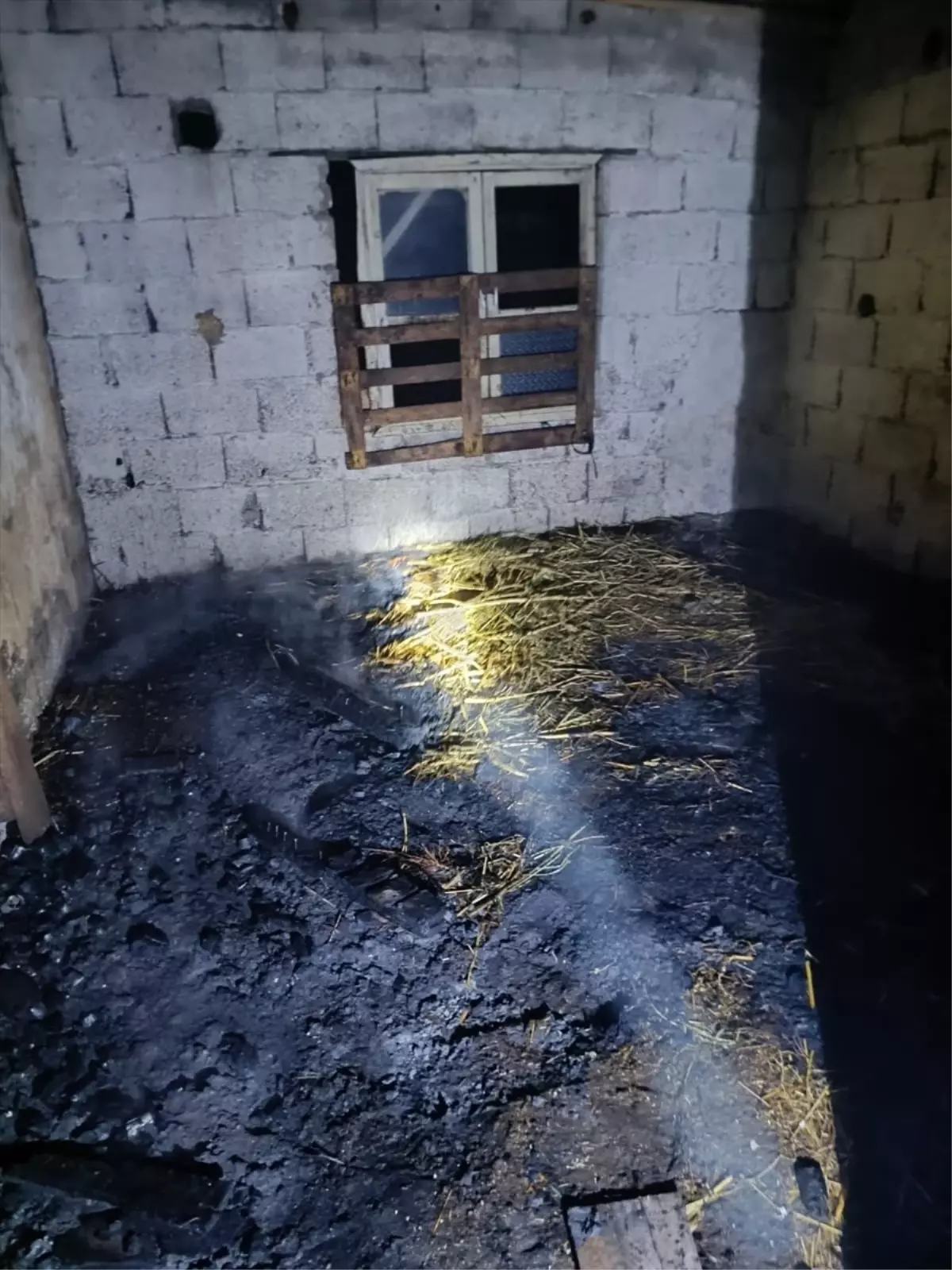 Adana\'da Ahır Yangını, 7 Küçükbaş Telef Oldu