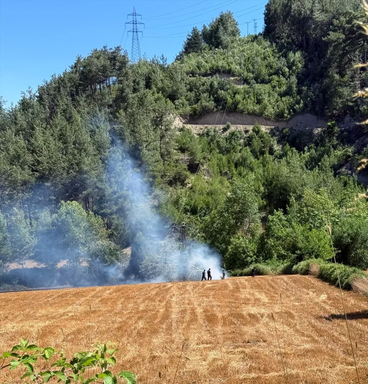 Kozan\'da Orman Yangınına Müdahale