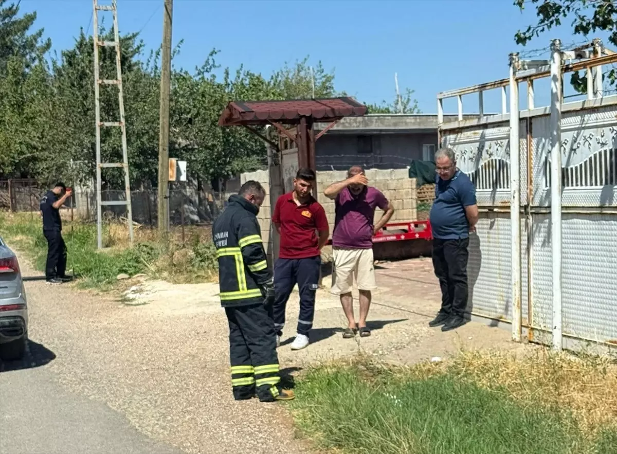 Yılan Mutfağa Girdi, İtfaiye Kurtardı