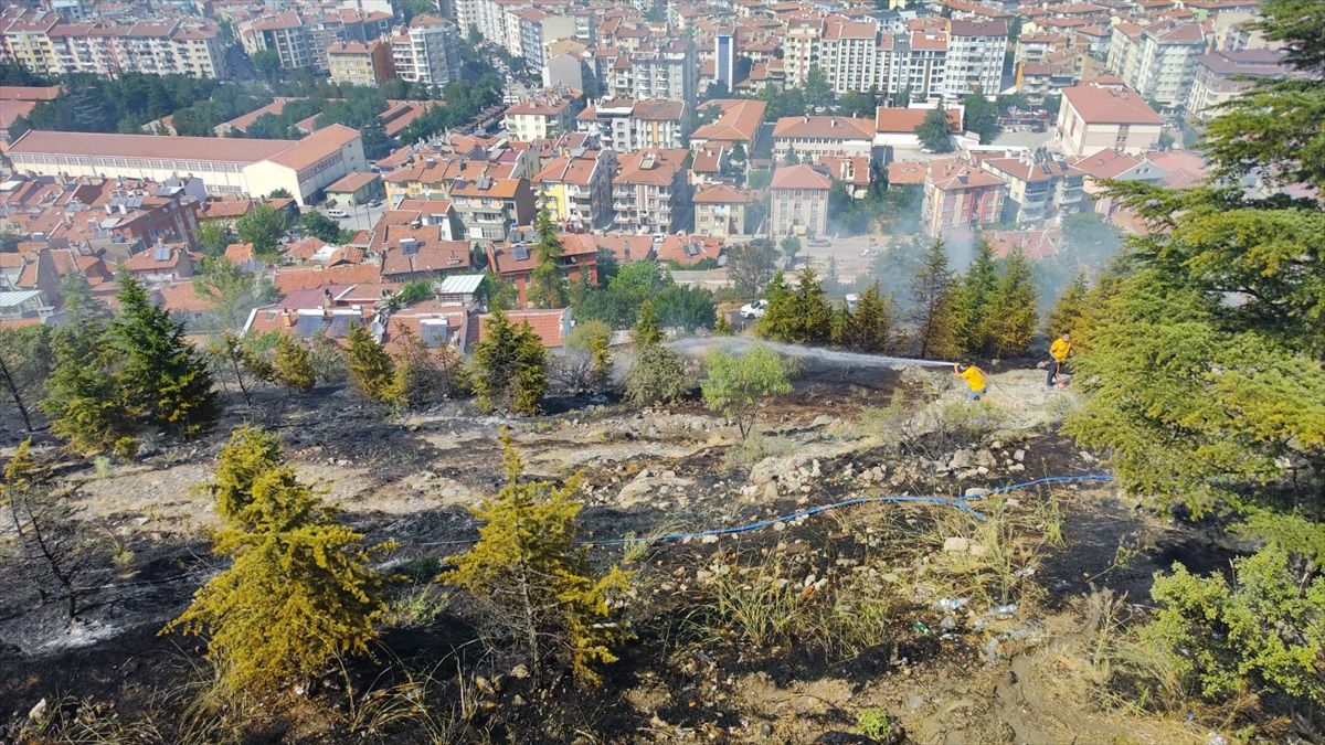 Afyonkarahisar\'da Ağaçlık Alanda Yangın