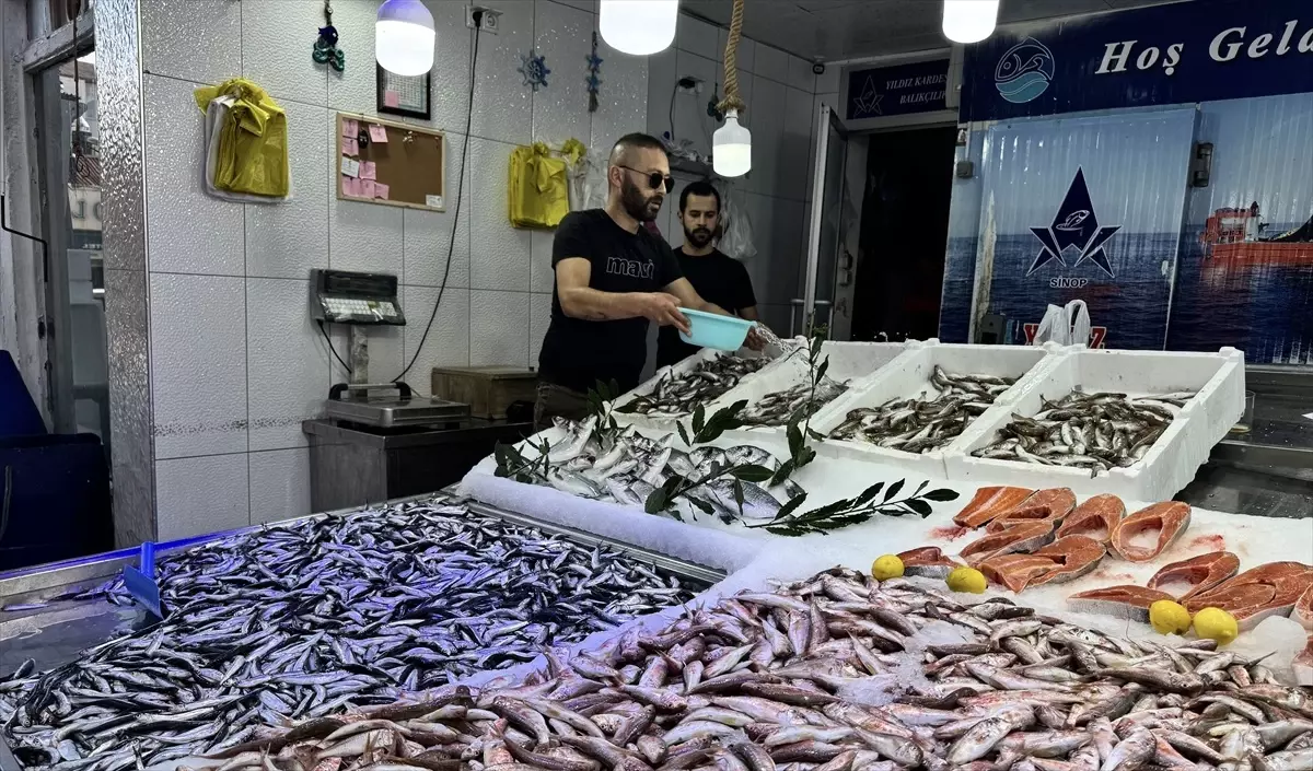 Balıkçıların Yüzünü Hamsi Güldürdü