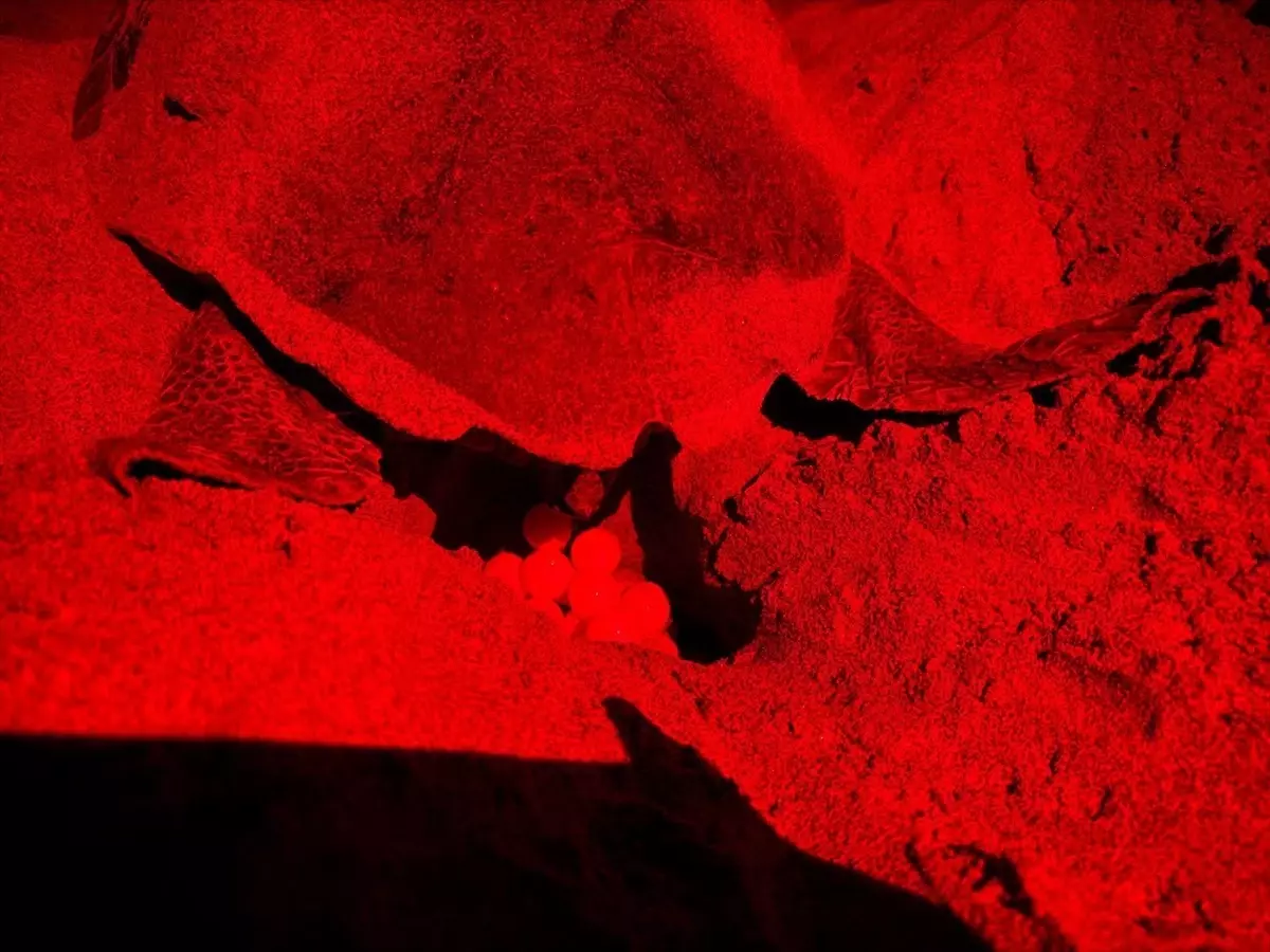 Patara ÖÇKB\'de Sürdürülebilir Turizm Planı