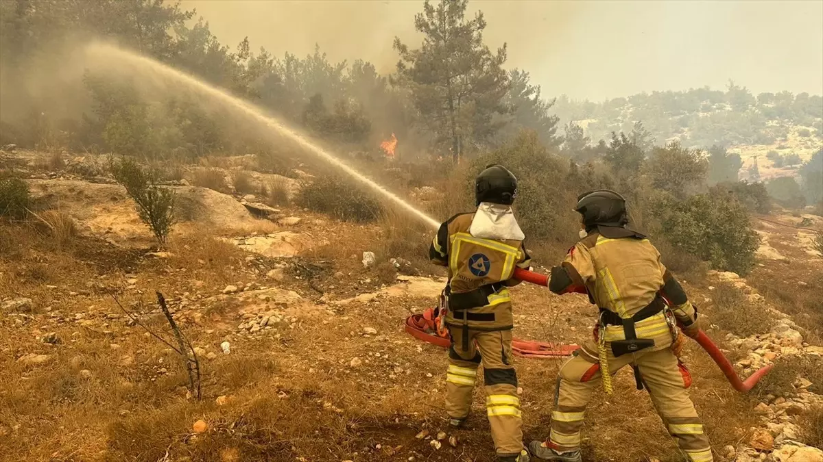 Akkuyu NGS, Orman Yangınında Hızla Müdahale Etti
