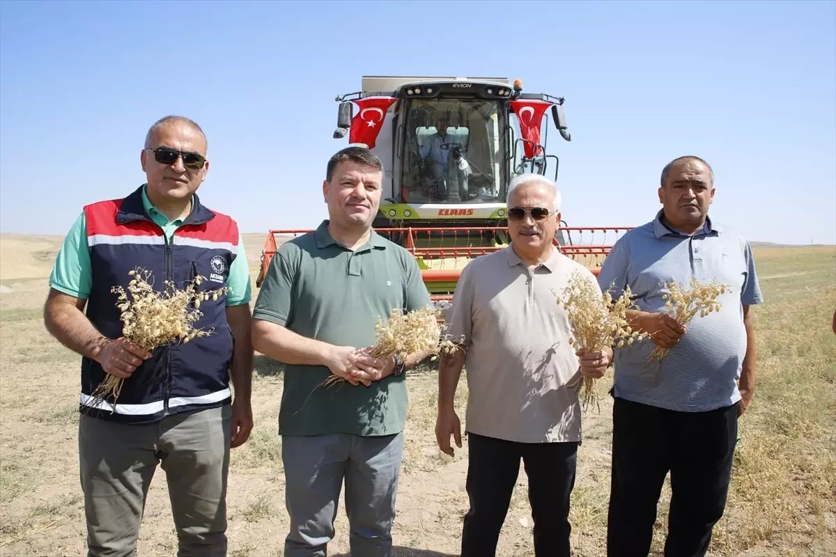 Aksaray\'da İhtiyaç Sahiplerine Nohut Yardımı