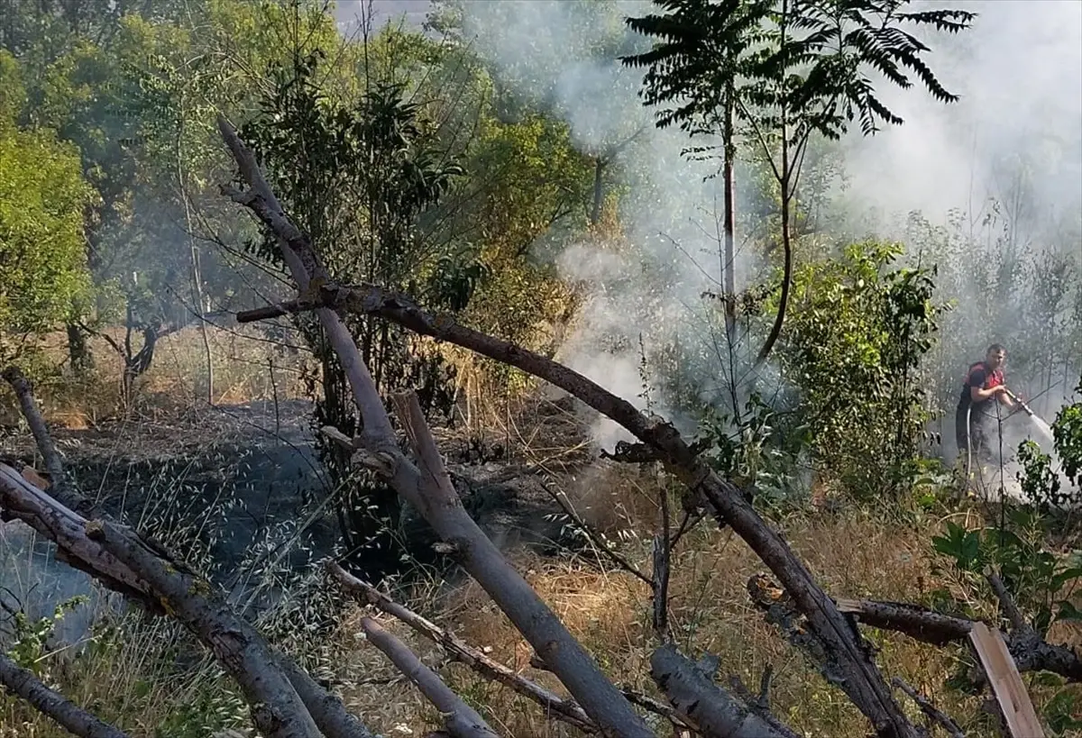 Amasya\'da Ot Yangını Kontrol Altına Alındı
