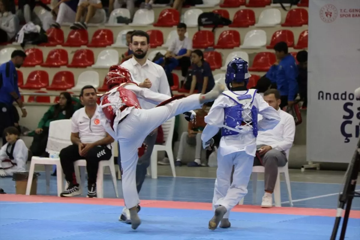 Anadolu Yıldızlar Ligi Tekvando Müsabakaları Tamamlandı