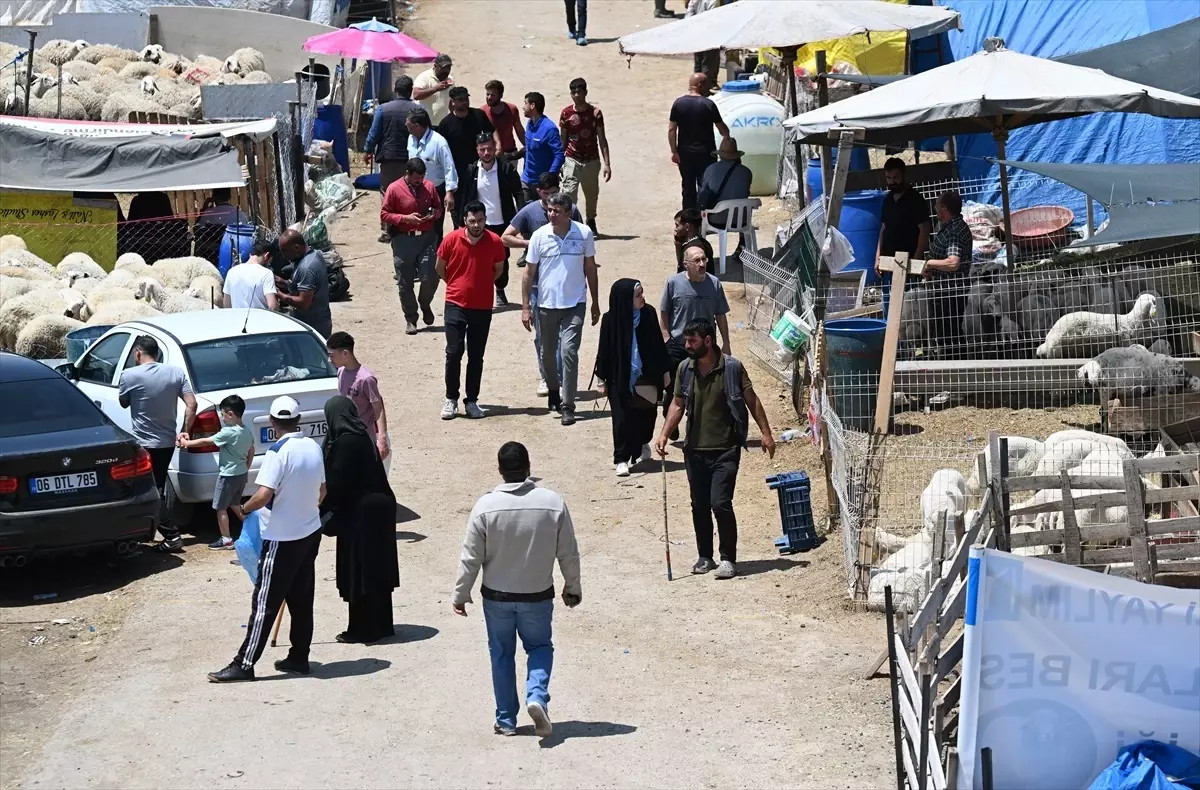 Kurban Bayramı\'nda Kesim Yoğunluğu