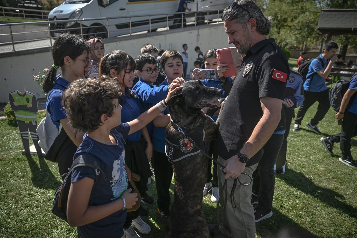 Çocuklar İçin Eğlenceli Etkinlik