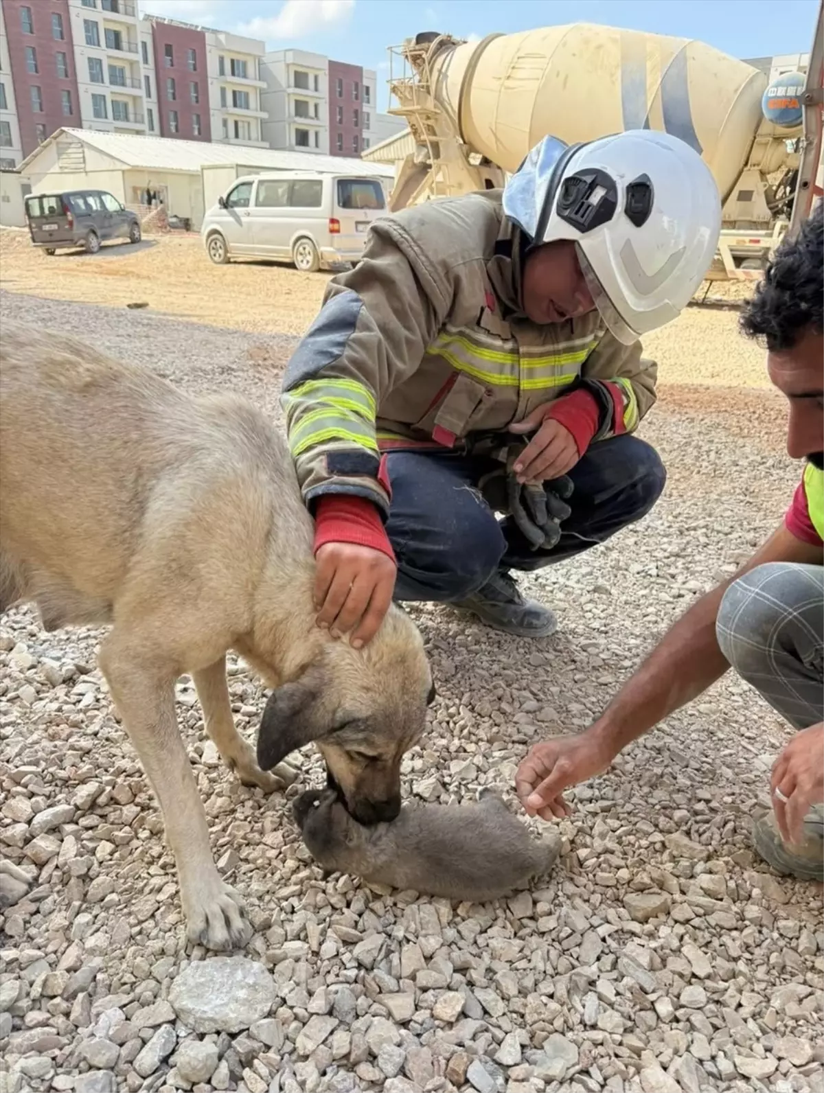 Antakya\'da Gider Borusuna Düşen Köpek Yavrusu Kurtarıldı
