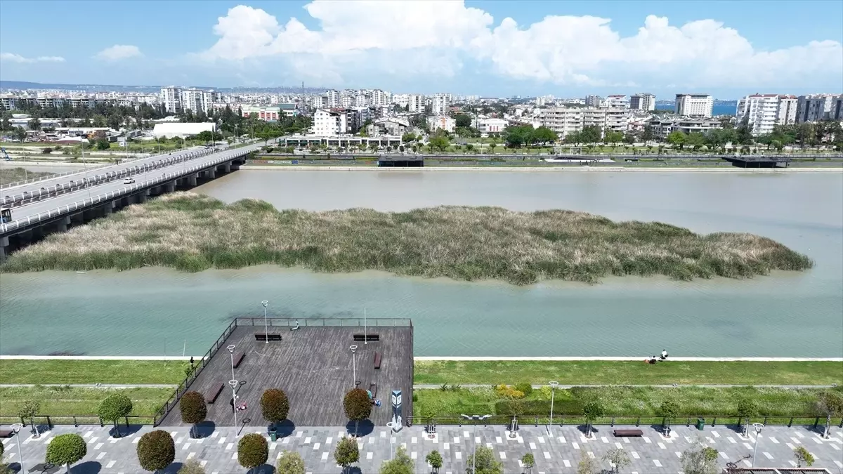 Boğaçayı\'nda 220 Kuş Türü Tespit Edildi