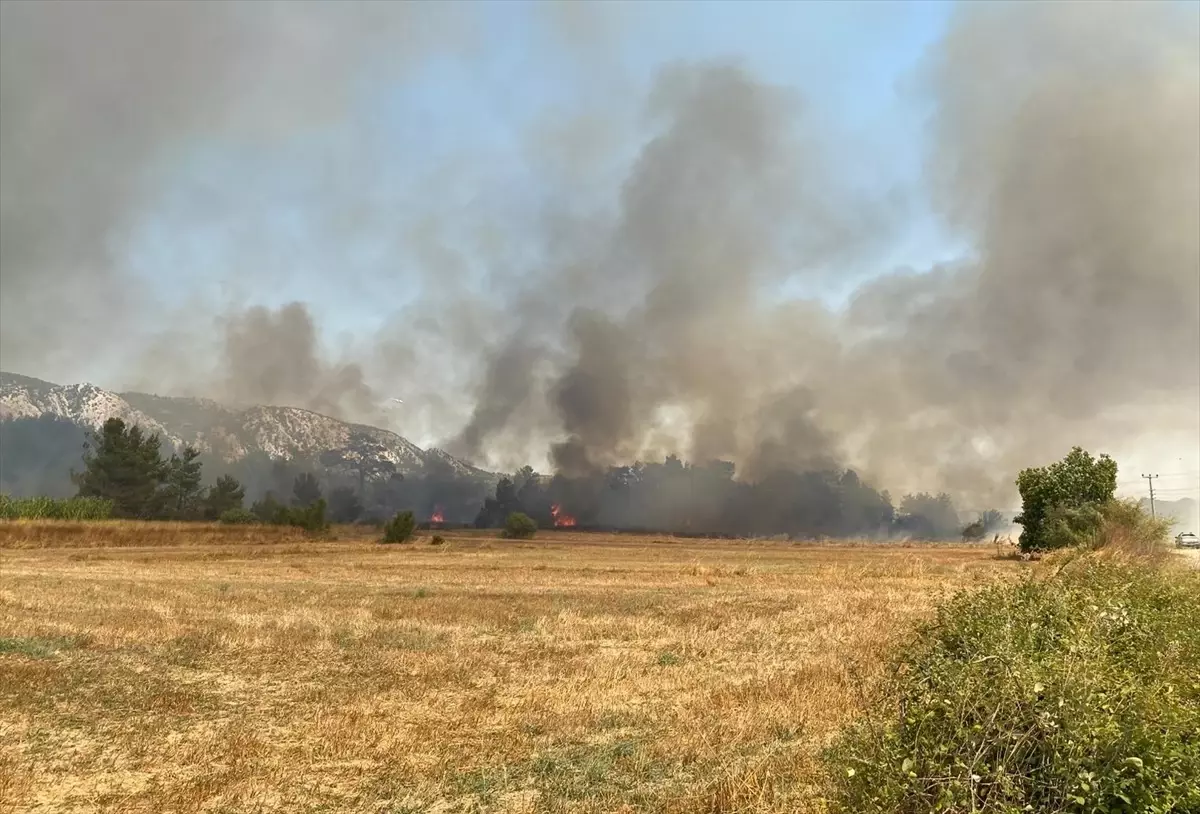 Serik\'te Orman Yangını Kontrol Altına Alındı