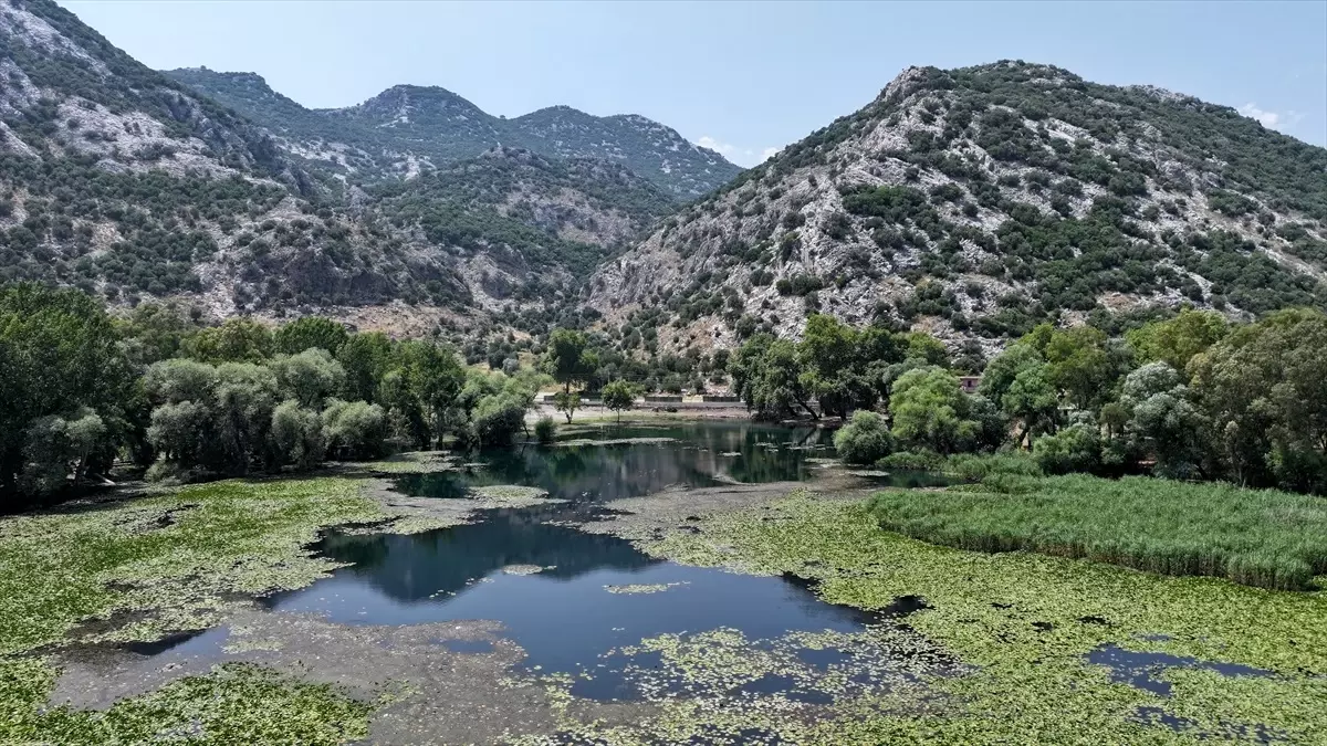 Kırkgöz\'deki Nilüferler Göz Kamaştırıyor
