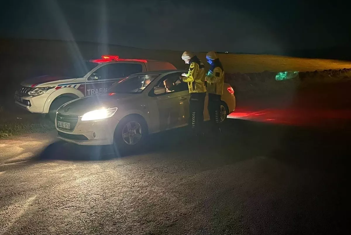 Ardahan\'da Bayram Trafik Denetimleri