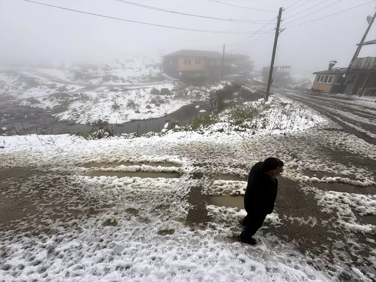 Ardahan ve Kars\'ta Kar ve Sis Etkili