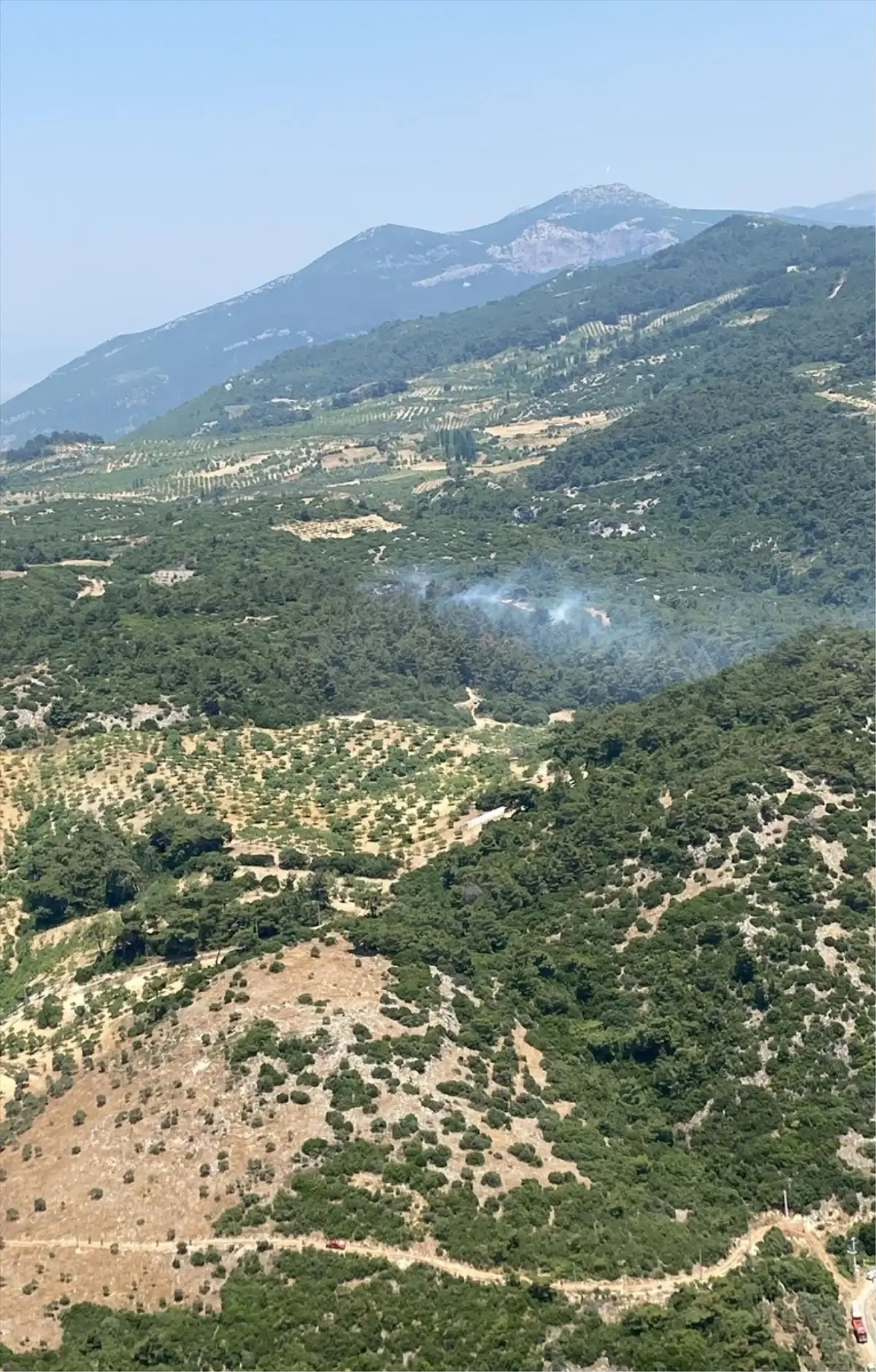 Germencik\'te Orman Yangını