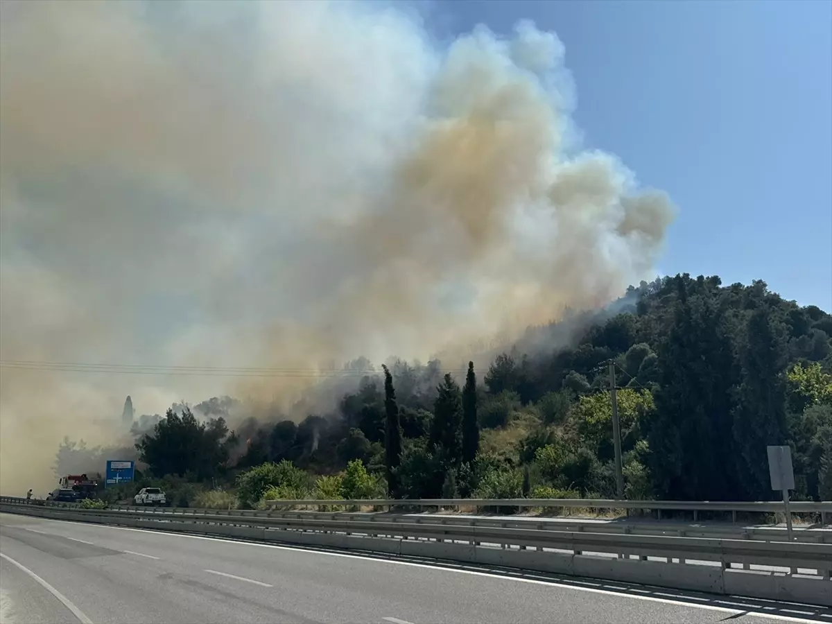 Aydın\'da Tarım Alanlarında Yangınlar