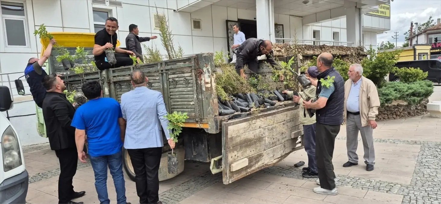 Bahşılı\'da 2 Bin Fidan Dağıtımı Yapıldı