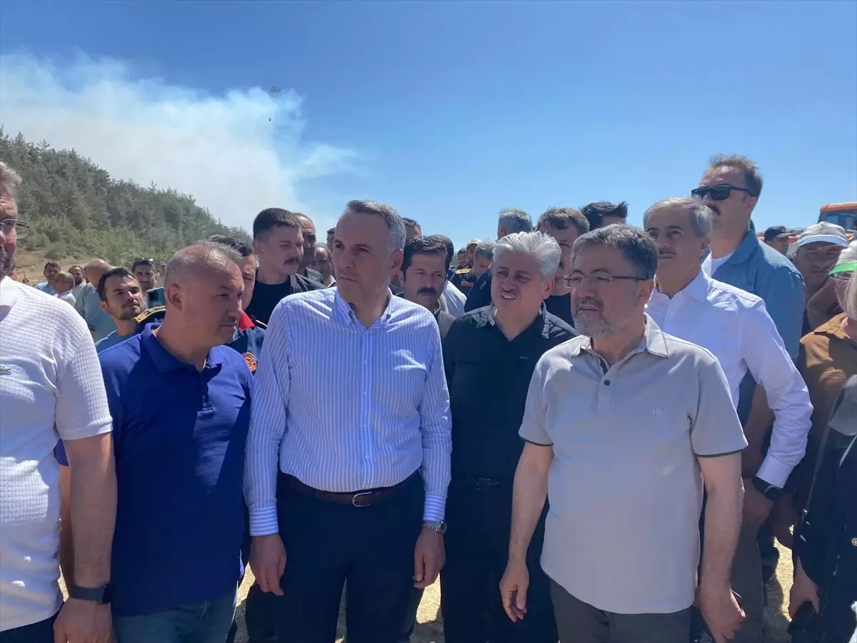 Sakarya ve Bilecik\'teki Orman Yangını: Üç Gözaltı