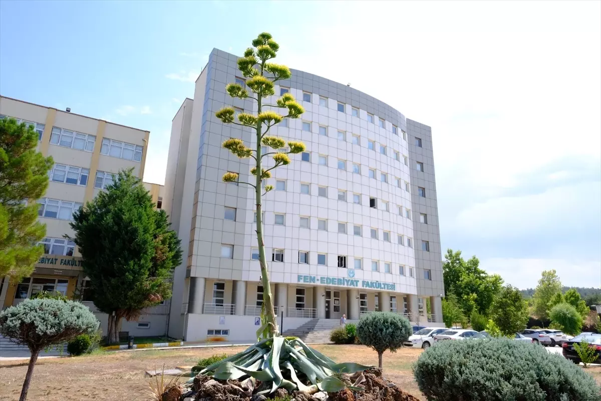 BAÜN\'de 20 Yıl Sonra Çiçek Açan Agave