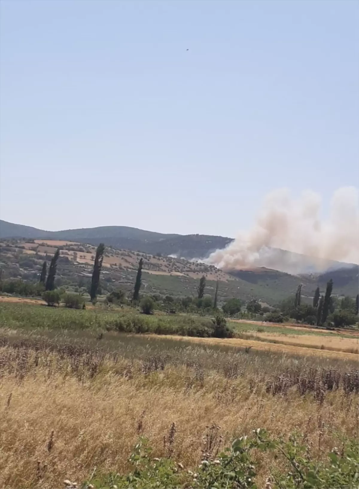 Kepsut\'ta Orman Yangınına Müdahale