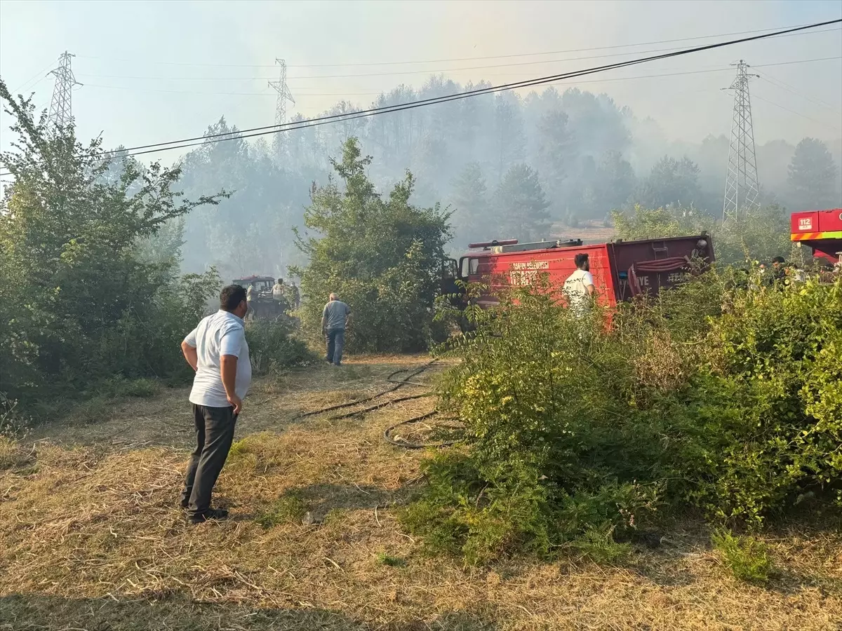 Bartın\'da Orman Yangını Kontrol Altında