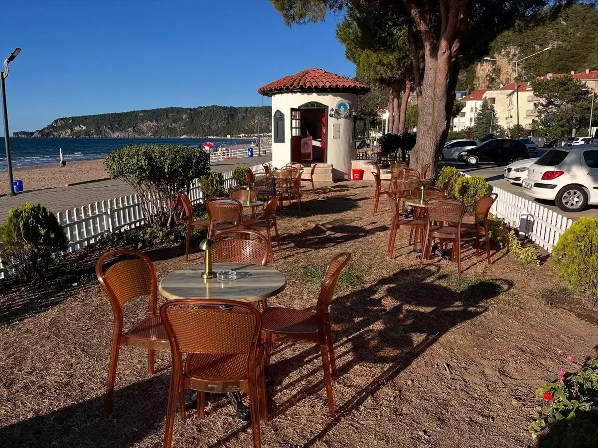 Bartın\'da Sinek İlaçlama ve Yenilikçi Proje