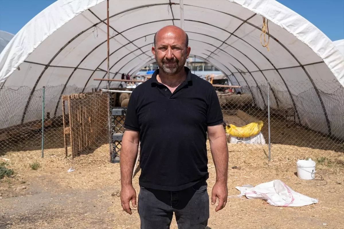 Kurban Pazarları Kapanıyor