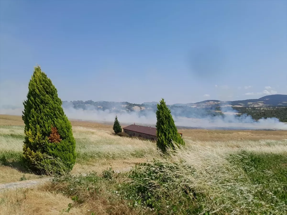 Bayramiç\'te Tarım Arazisinde Yangın