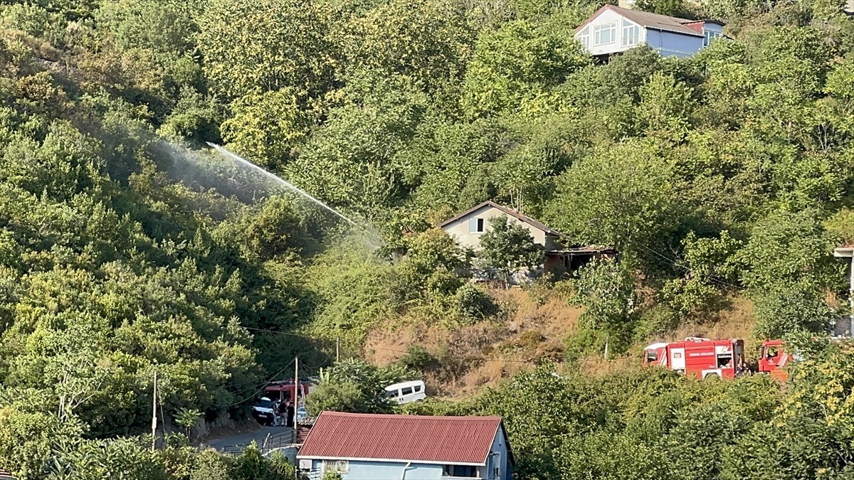 Beykoz\'da Orman Yangını Kontrol Altına Alındı
