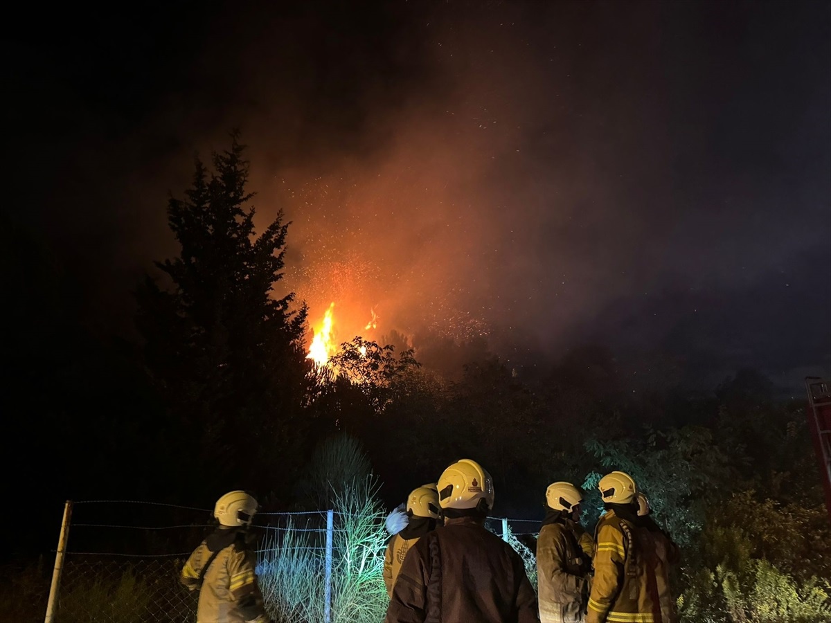 Beykoz\'un Ormanlık Alanında Yangın