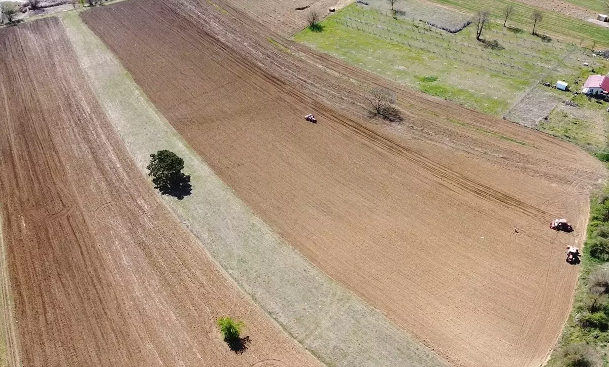 Bilecik\'te Birlikte Üretim Modeli Başarıyla Uygulanıyor