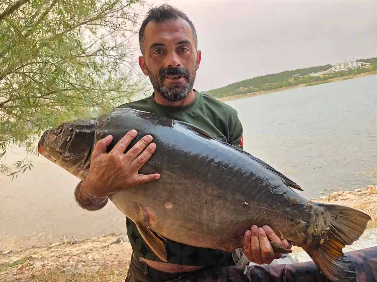 Bilecik\'te 28 Kilo 600 Gram Sazan Avlandı