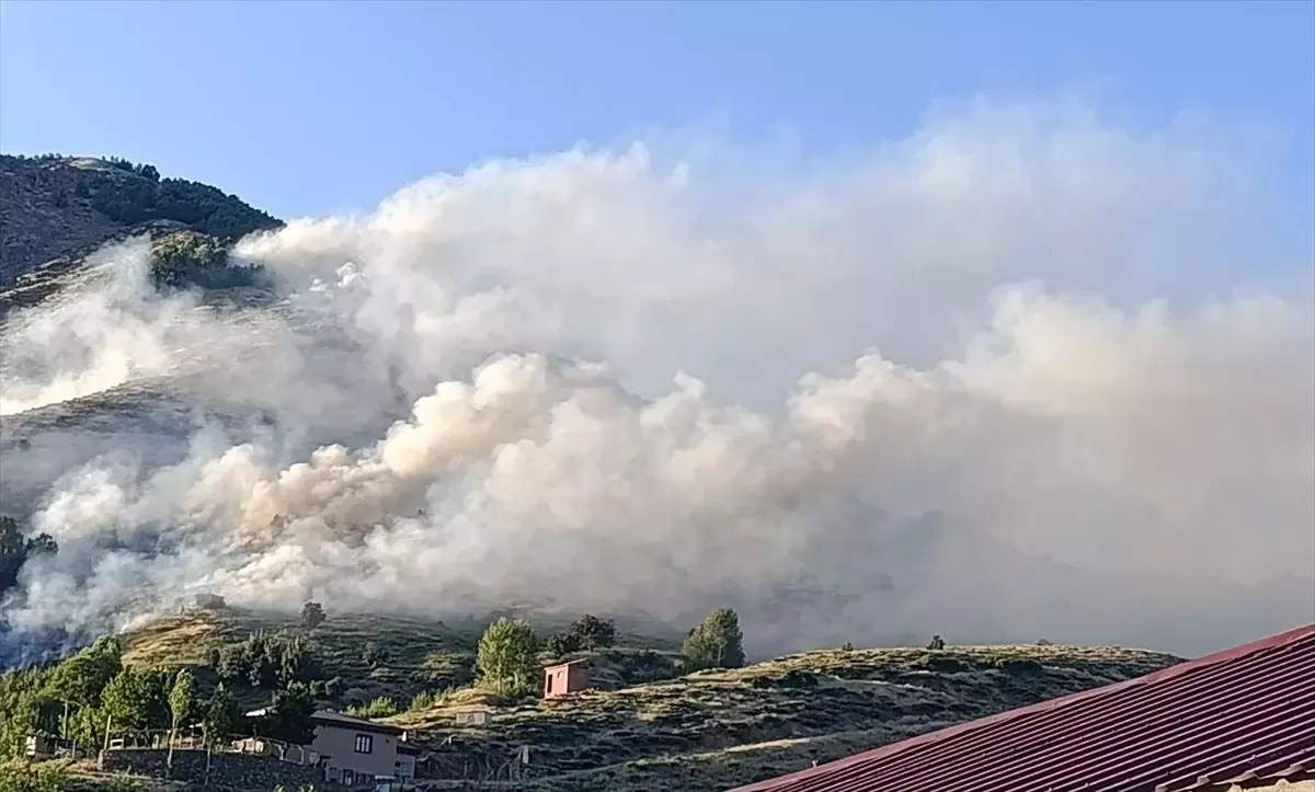 Bingöl\'de Orman Yangını Kontrol Altına Alındı