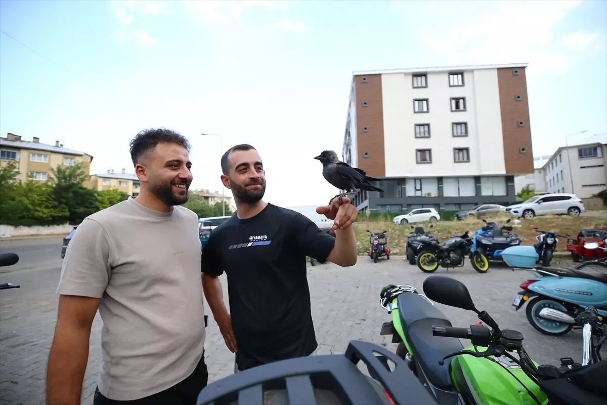 Motosikletçi ve Kargası Şimşek\'in Dostluğu