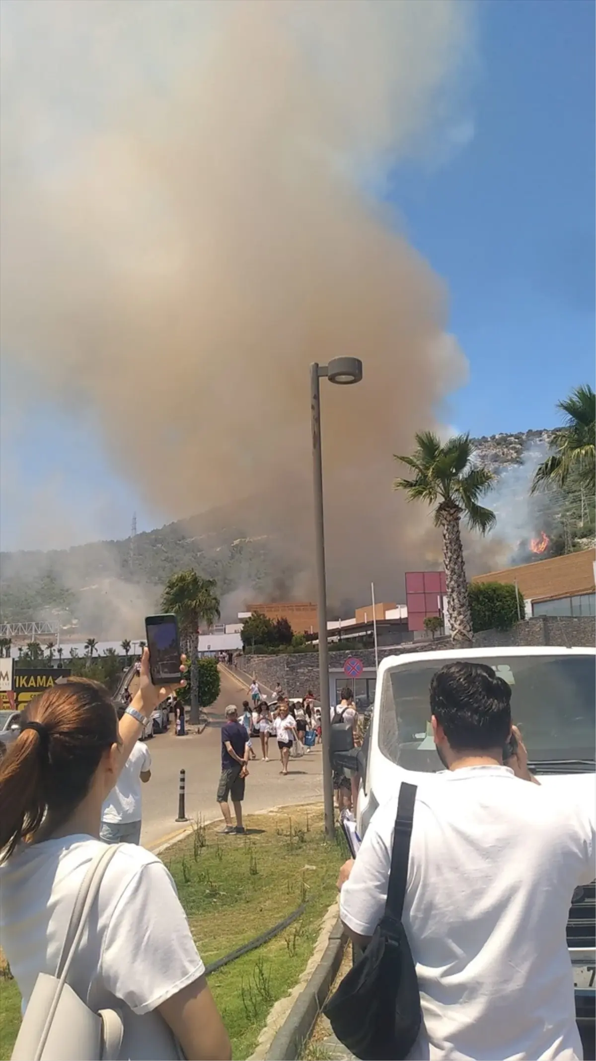 Bodrum\'da Orman Yangını Çıktı