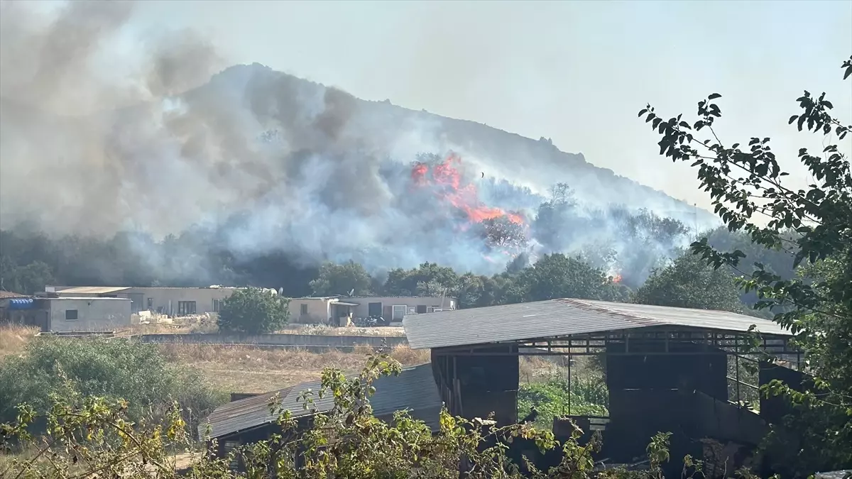 Bodrum\'da Tarım Alanına Yayılan Yangın!