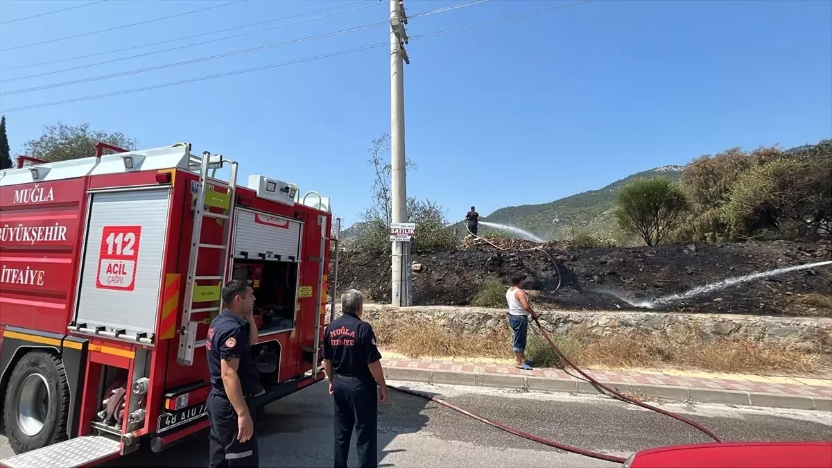 Bodrum\'da Otluk Alanda Yangın Söndürüldü