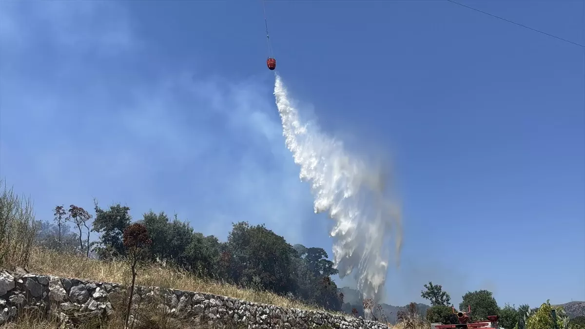 Bodrum\'da Tarım Arazisinde Yangın Söndürüldü