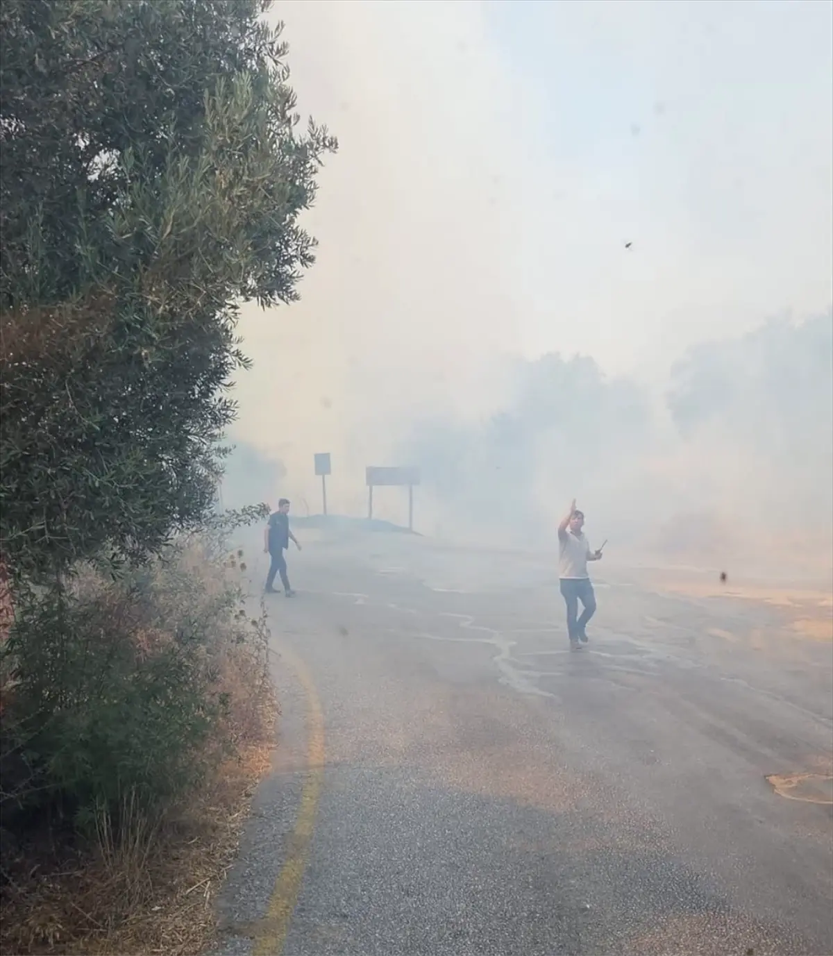 Bodrum\'da Yangın Kontrol Altında