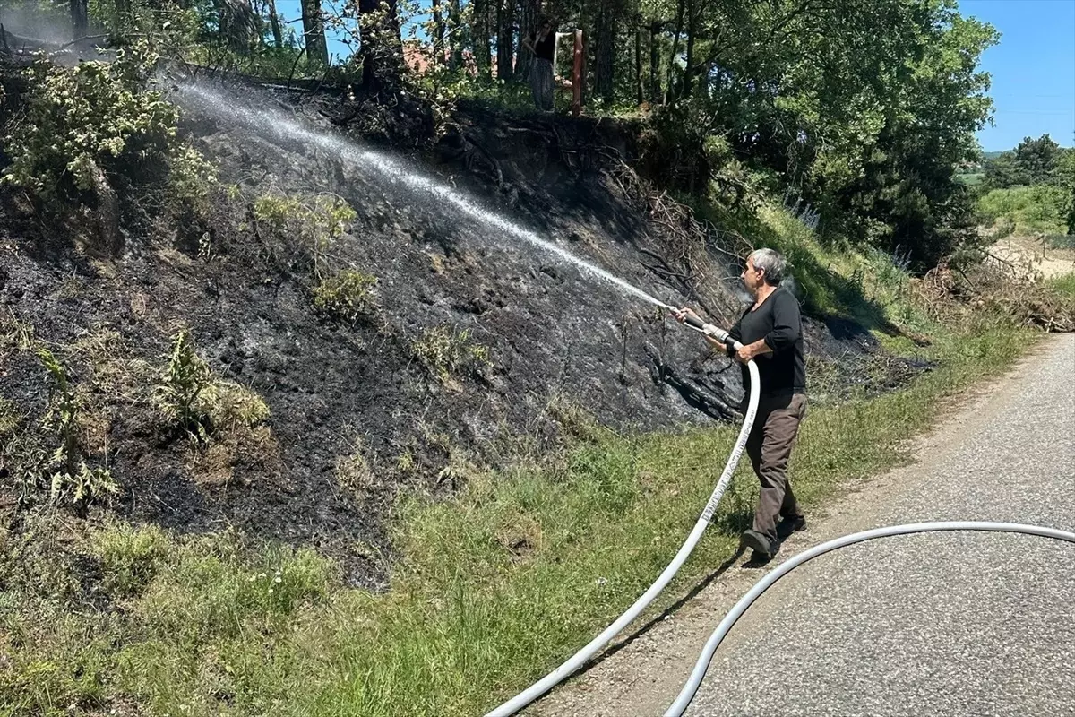Bolu\'da Orman Yangını Kontrol Altına Alındı