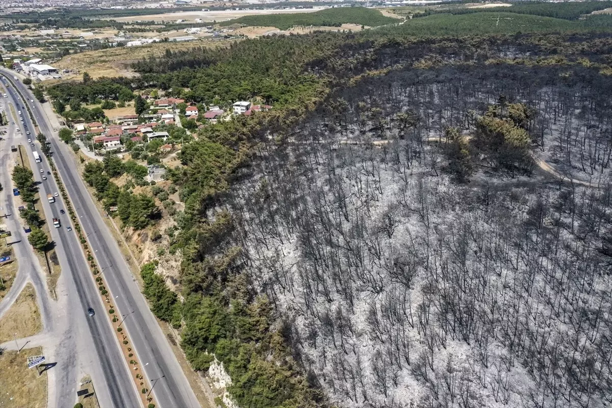 İzmir\'de Orman Yangını Kontrol Altında