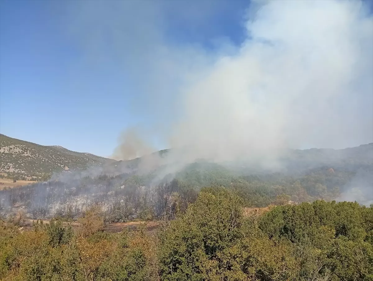 Burdur\'da Orman Yangını Kontrol Altına Alındı