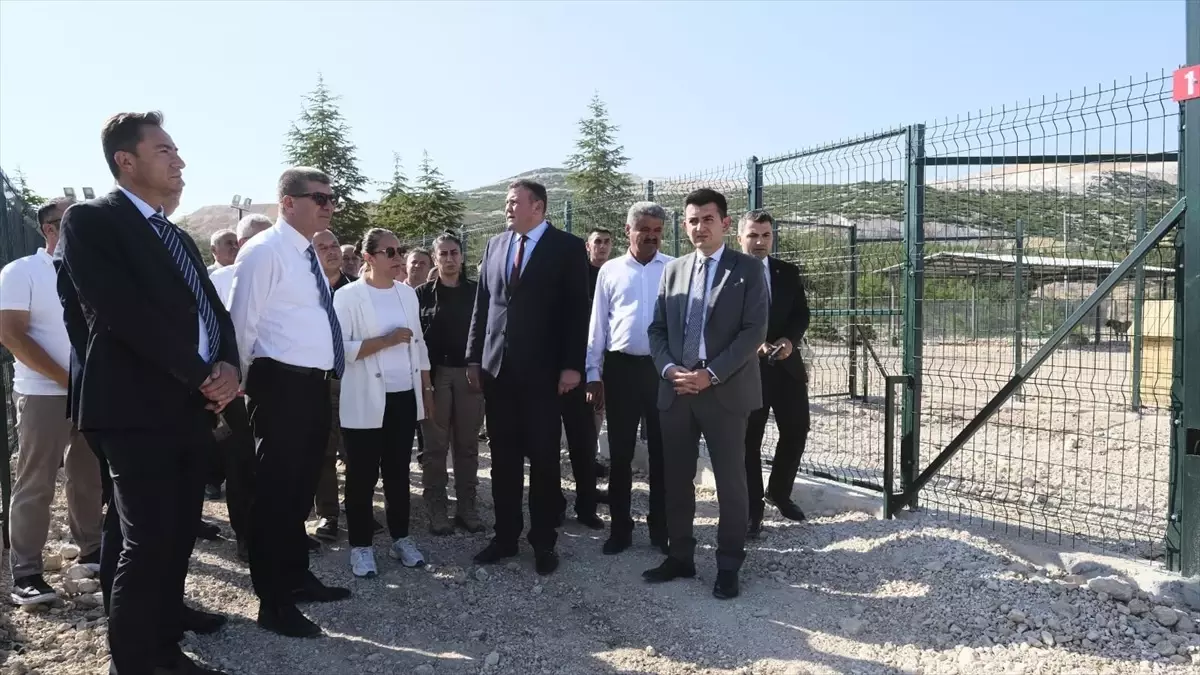 Burdur\'da Sahipsiz Hayvanlar için Rehabilitasyon Tesisi Açıldı